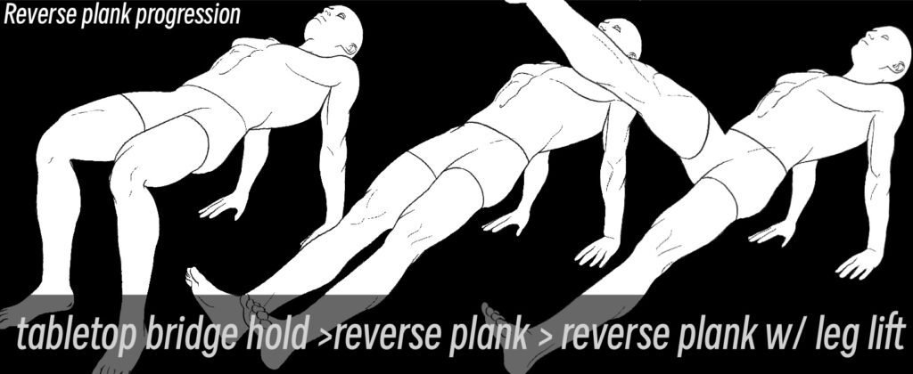Men demonstrating the tabletop bridge hold, reverse plank and reverse plank with leg lift calisthenics progressions